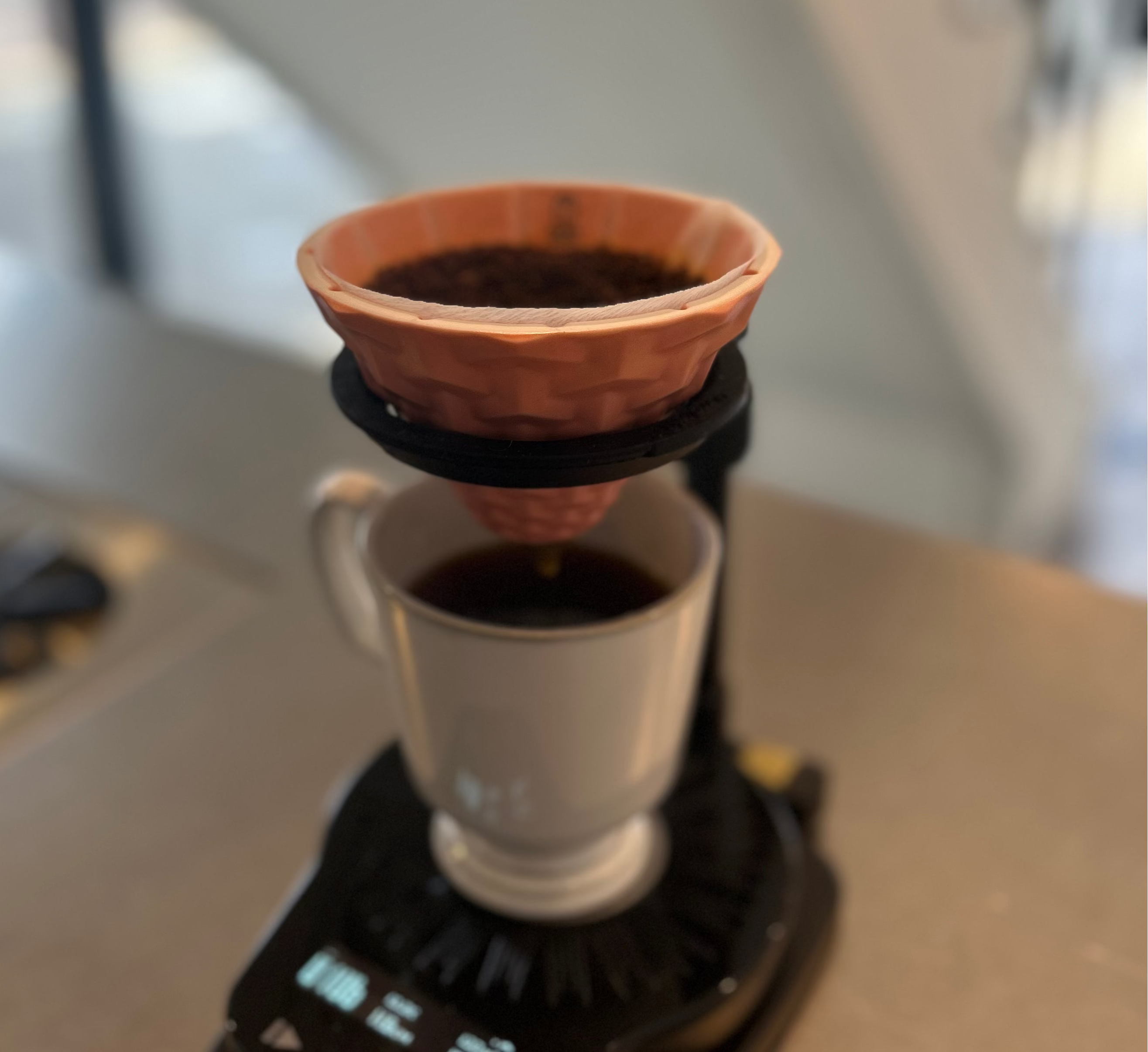 CT62 コーヒードリッパー(スタンド無し)